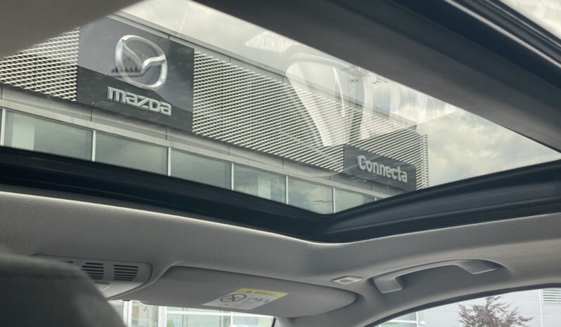 BMW 320d Wagon Automatik xDrive Panorama 2018. full